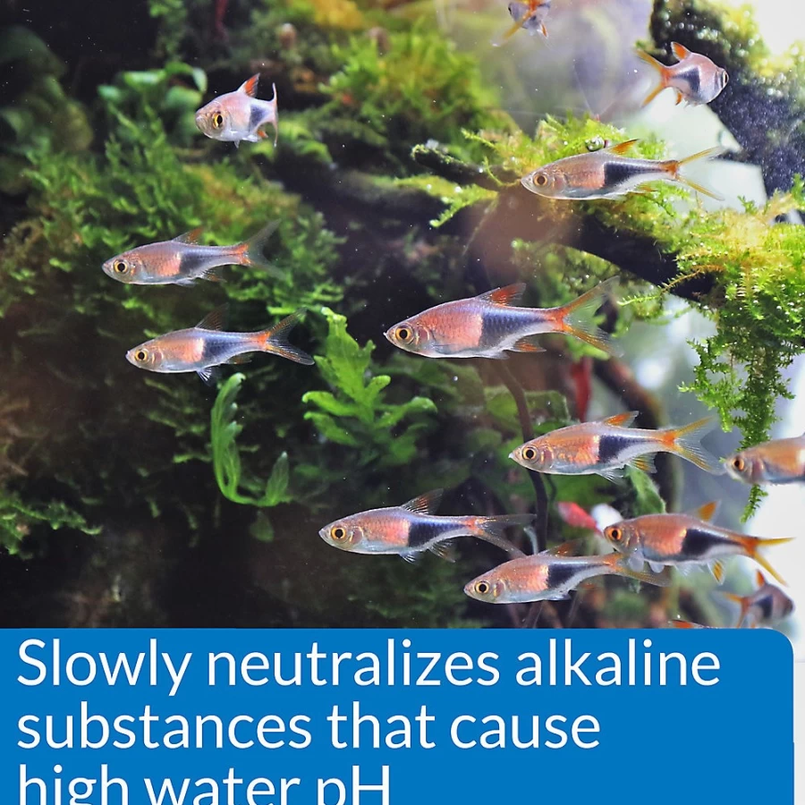 PetSmart API pH Down Aquarium Water Conditioner for Fish Tank pH Balance