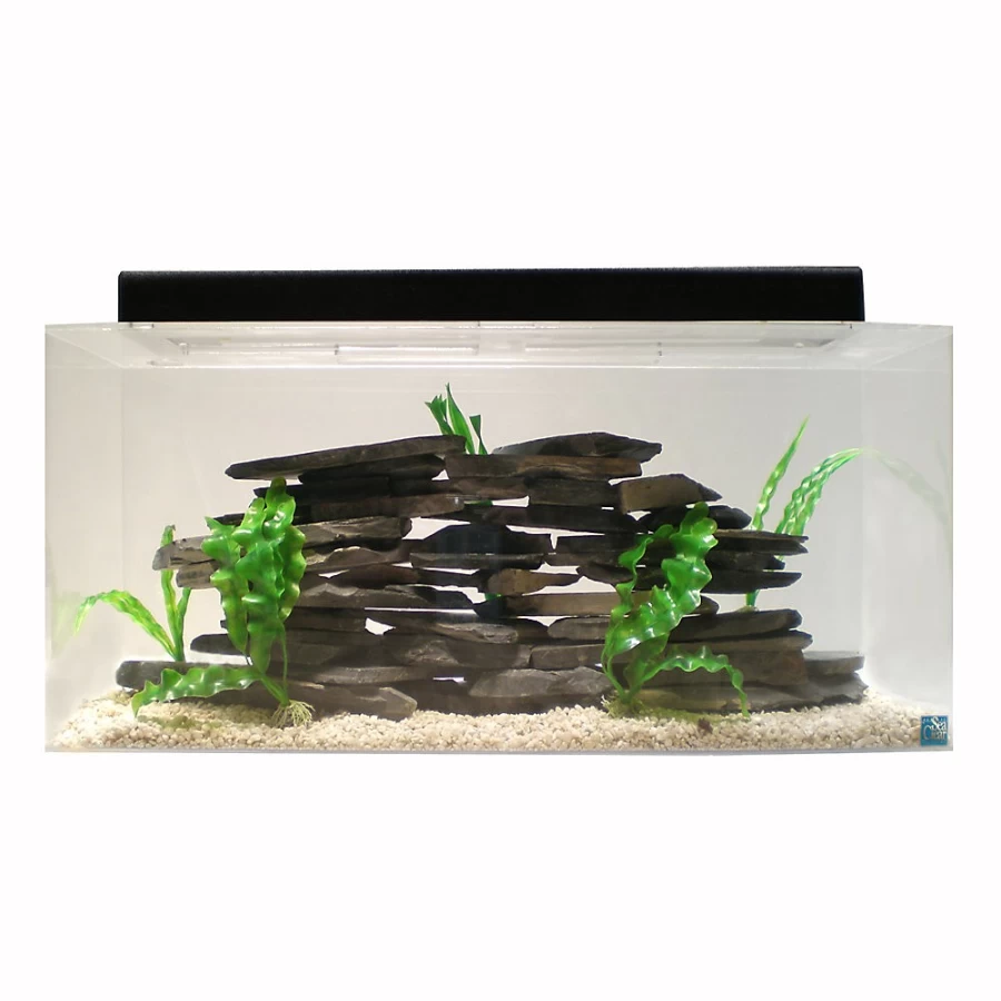 PetSmart SeaClear 40 Gallon Acrylic Aquarium Tank – Crystal Clear Fish Tank for Freshwater & Saltwater