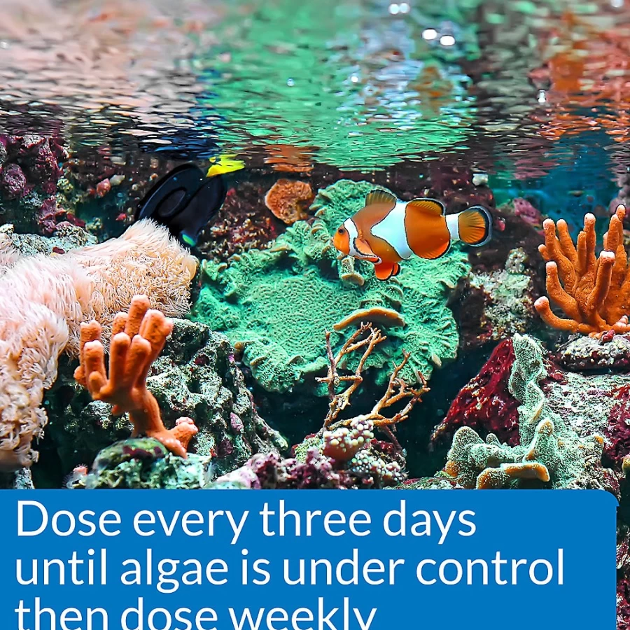 PetSmart API Algaefix Marine Aquarium Algae Control Solution for Saltwater Tanks