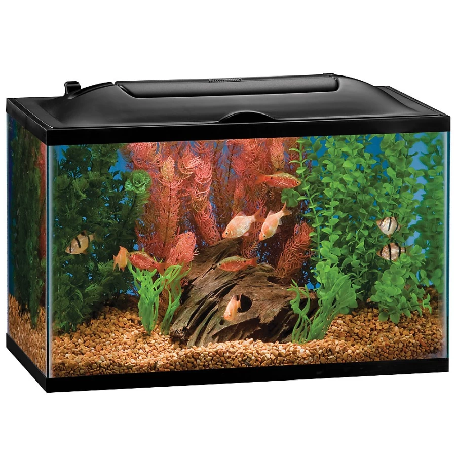 PetSmart Marineland 10-Gallon BioWheel LED Aquarium Starter Kit with Power Filter