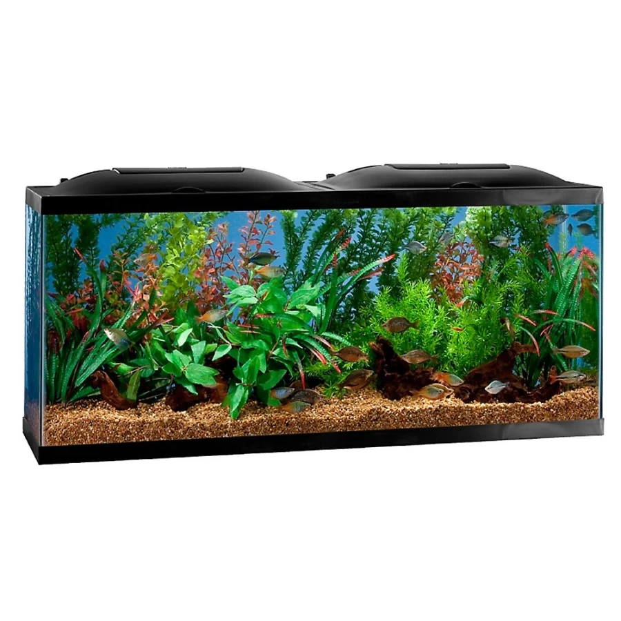 PetSmart Marineland BioWheel LED Aquarium Kit with Filtration System for Freshwater Fish Tanks