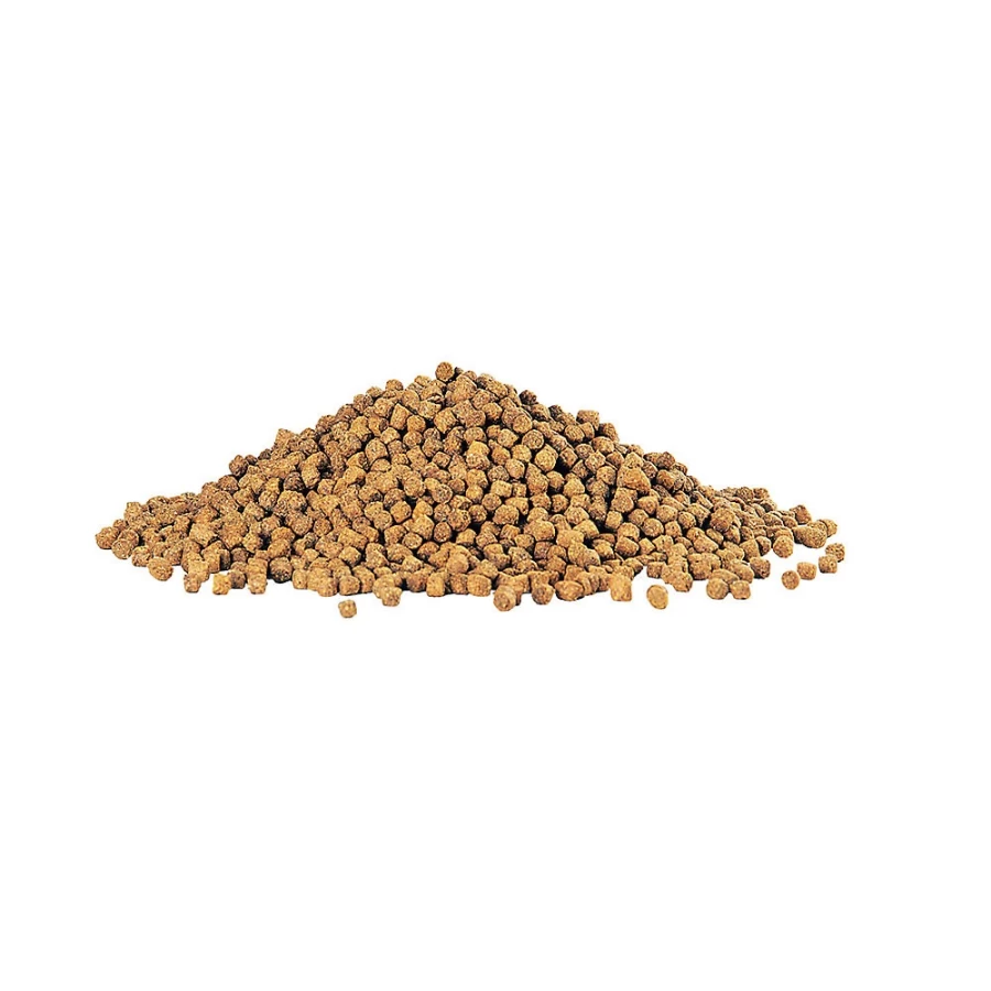 PetSmart Aqueon Cichlid Pellets - Premium Fish Food for Cichlids, High-Protein Diet, Optimal Growth & Color Enhancement