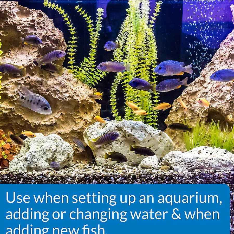 PetSmart API Quick Start Guide for Developers | Easy Integration & Setup