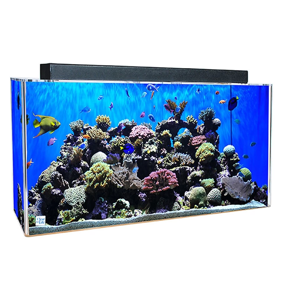"PetSmart Clear-For-Life 75 Gallon Rectangle Aquarium Tank for Fish"