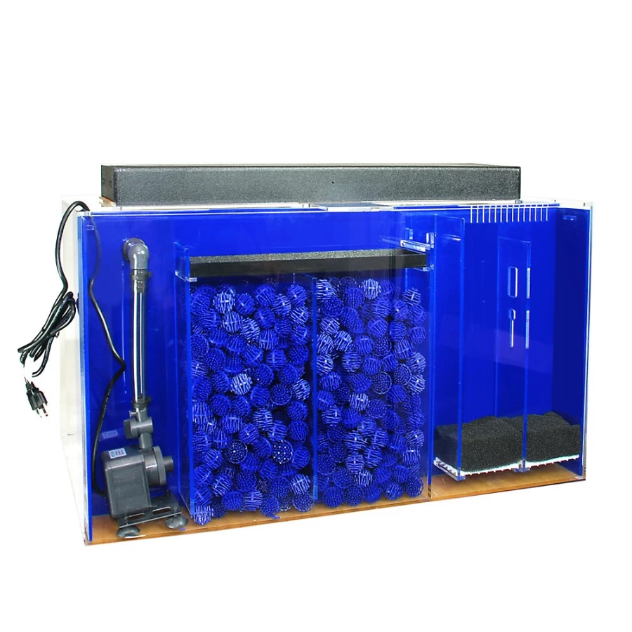 PetSmart Clear-For-Life 60 Gallon Rectangular Aquarium Tank - UniQuarium Series