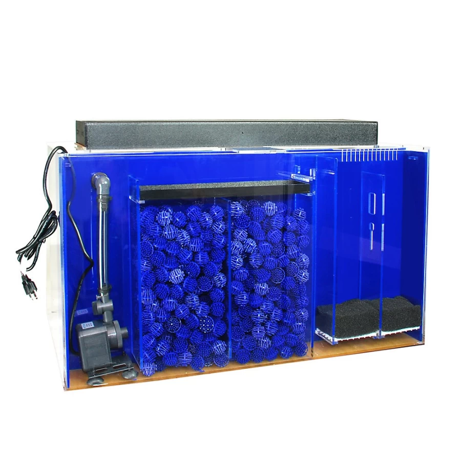 PetSmart Clear-For-Life 240 Gallon Rectangle Aquarium - Large UniQuarium Tank for Fish & Reptiles