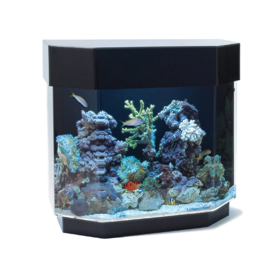 PetSmart Clear-For-Life 12 Gallon Hexagon Aquarium - Flat Back Design for Unique Home Decor