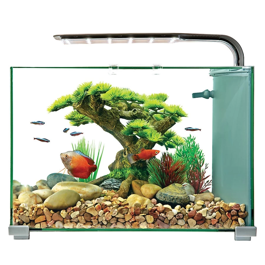 PetSmart Top Fin 5 Gallon Premium Glass Aquarium Tank for Fish