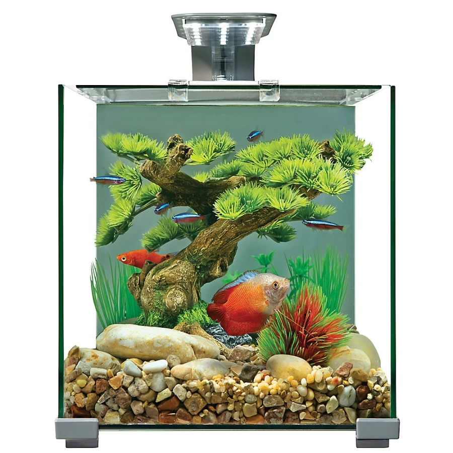 PetSmart Top Fin Party Aquarium Decoration - Fun Fish Tank Ornament for Aquatic Pets