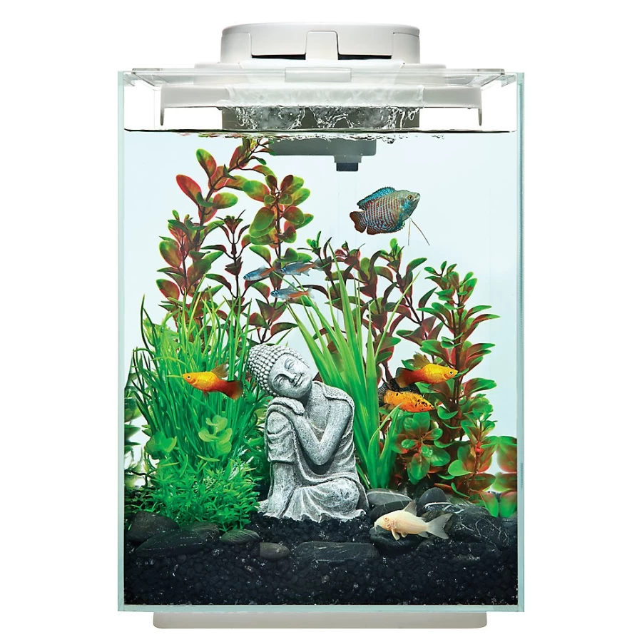 PetSmart Top Fin 5 Gallon Gentle Waterfall Aquarium Kit for Small Fish Tanks
