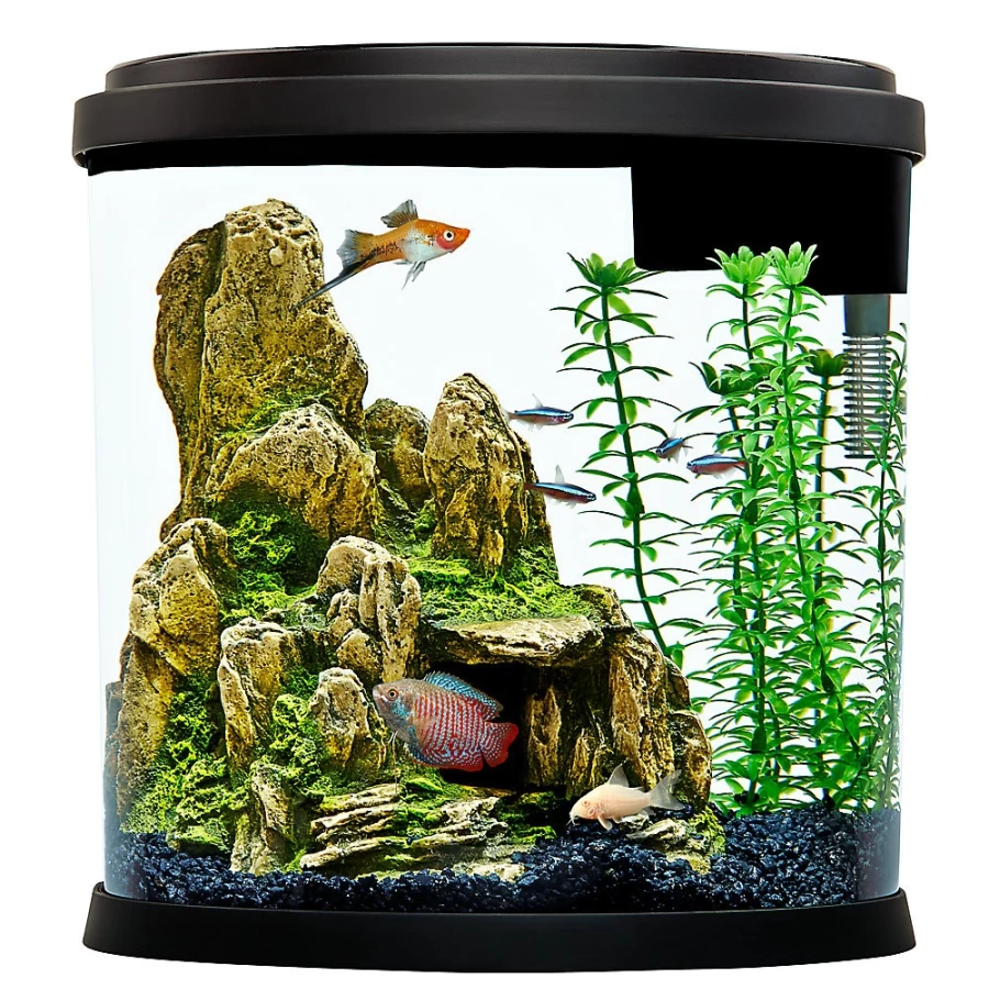 PetSmart Top Fin Half Moon 3.5 Gallon Aquarium Tank for Fish – Compact Desktop Bowl with LED Lighting