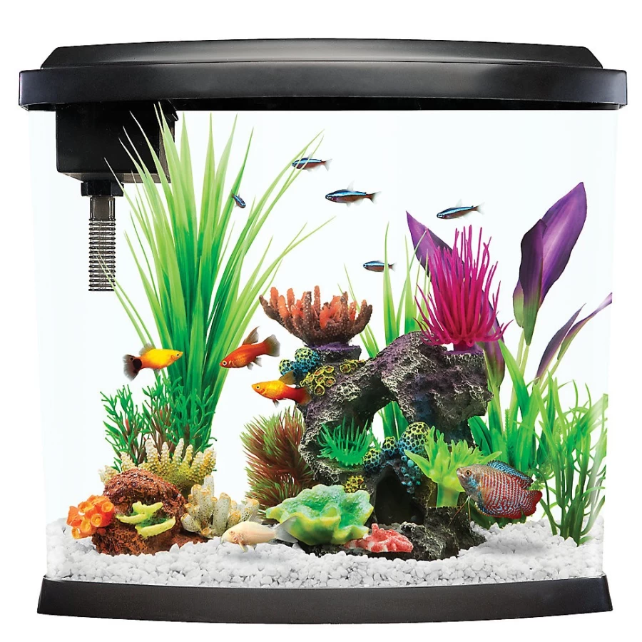 PetSmart Top Fin 5 Gallon Split Bowfront Aquarium Tank for Fish
