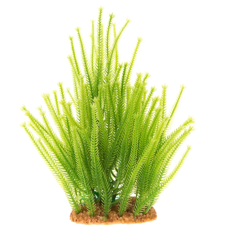 PetSmart Top Fin 8-Inch Artificial Squiggly Aquarium Plant for Fish Tanks