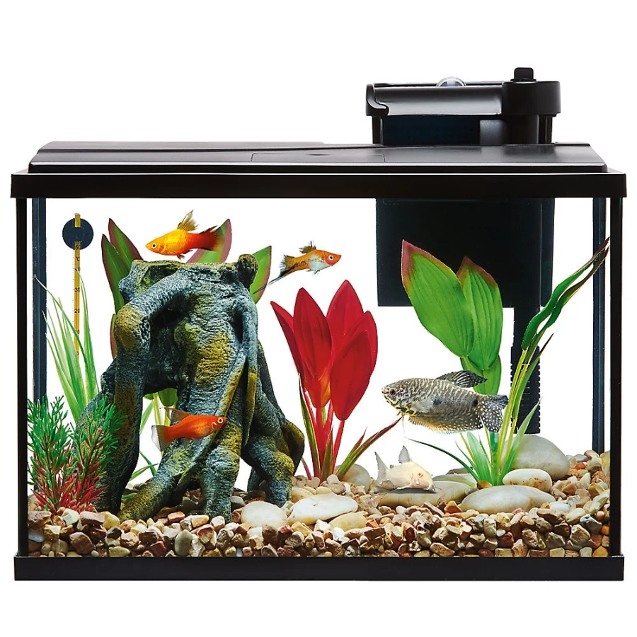 PetSmart Top Fin Essentials Aquarium Starter Kit - Complete Fish Tank Set for Beginners