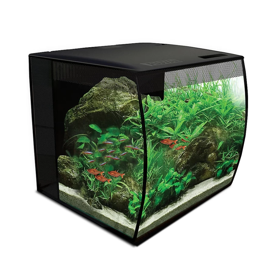 Fluval Flex 9 Gallon Aquarium Kit - PetSmart Premium Fish Tank with Filter & LED Lighting