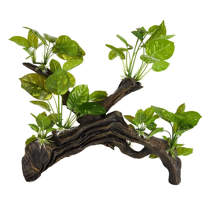 PetSmart Top Fin Massive Leafy Driftwood - Natural Aquarium Decor for Fish Tanks