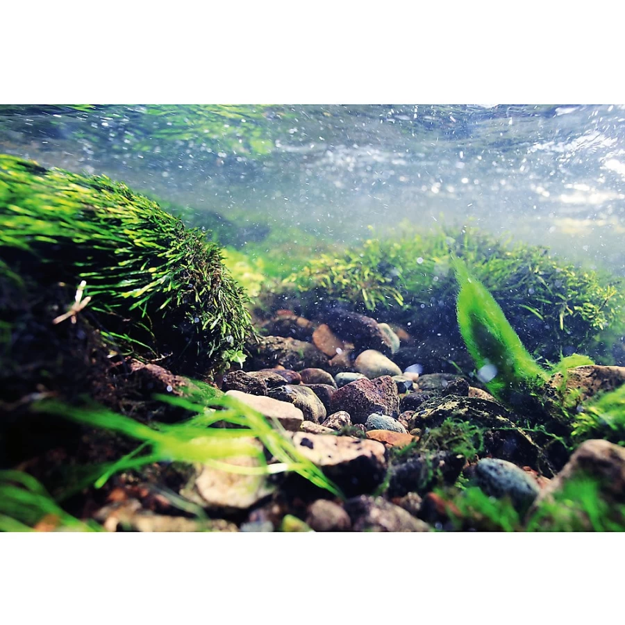 PetSmart Top Fin Tropical Riverbed Reversible Fish Tank Aquarium Background Decor