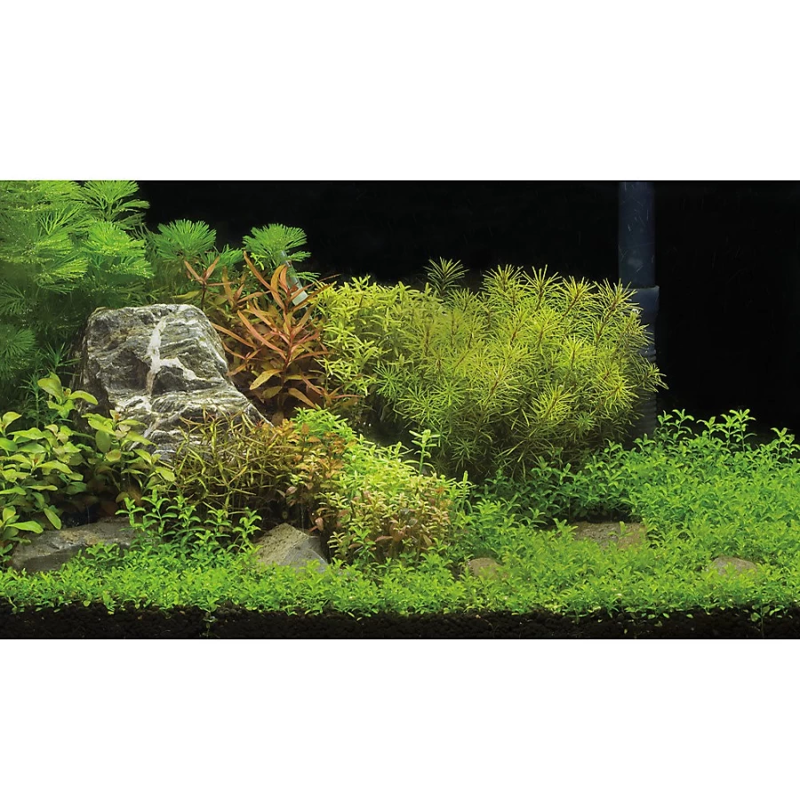 PetSmart Top Fin Reversible Riverbed Aquarium Background - Underwater Garden Decor for Fish Tanks