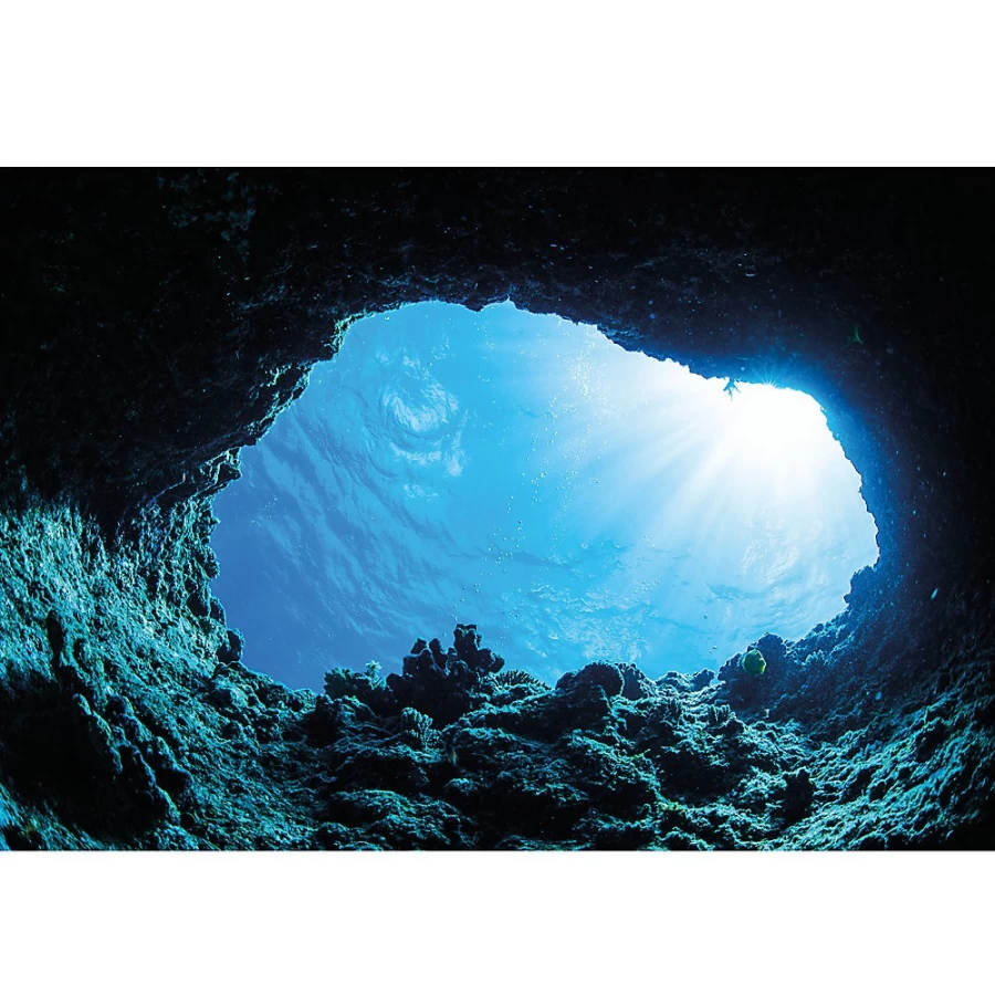 PetSmart Top Fin Reversible Cave Ocean Floor Aquarium Background for Fish Tanks