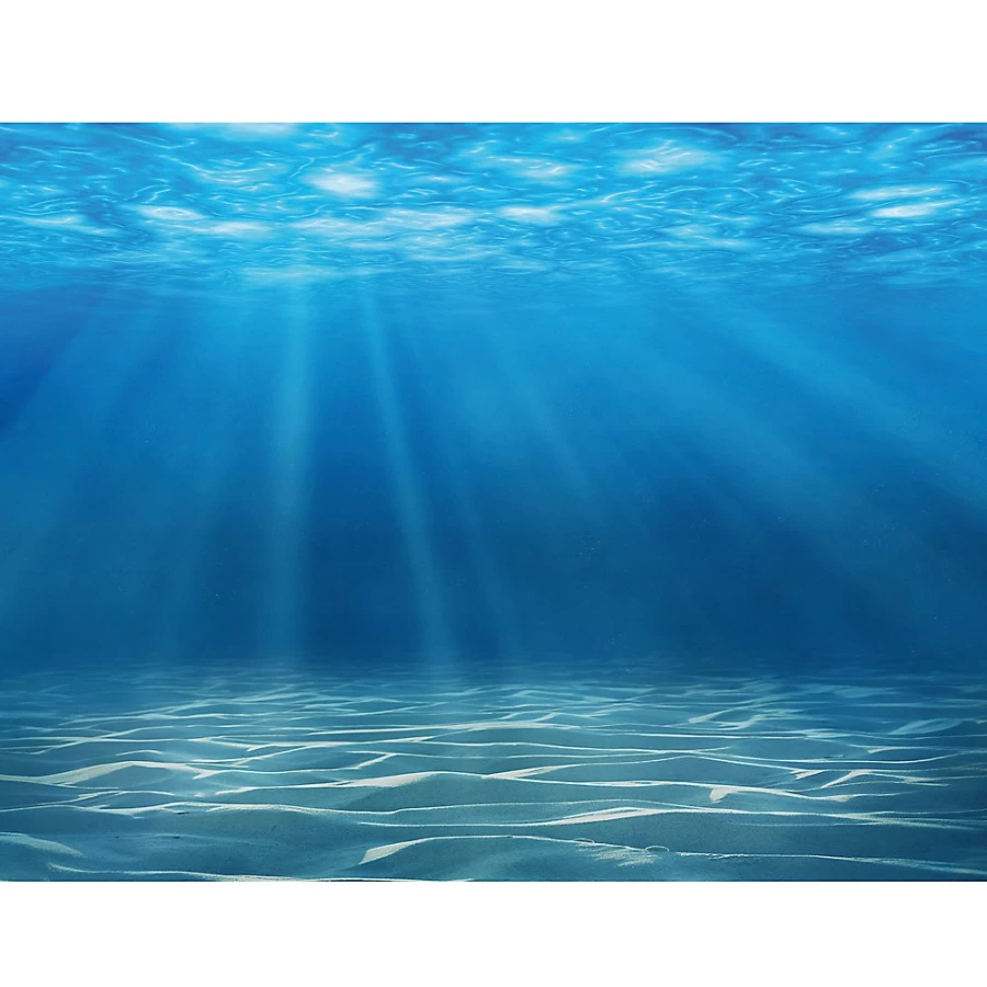 PetSmart Top Fin Reversible Cave Ocean Floor Aquarium Background for Fish Tanks