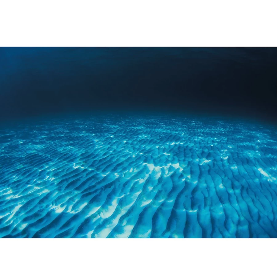 PetSmart Top Fin Rippled Sand Ocean Floor Reversible Fish Tank Aquarium Background