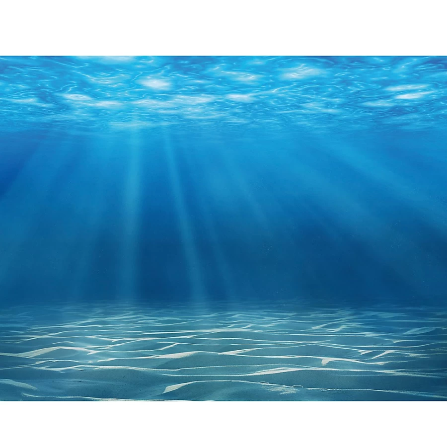 PetSmart Top Fin Rippled Sand Ocean Floor Reversible Fish Tank Aquarium Background