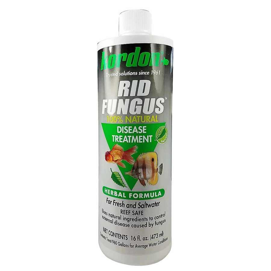 PetSmart Kordon Rid Fungus Treatment for Aquariums – Effective Fish Fungus Remedy