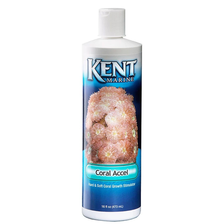 PetSmart KENT Marine Coral Accel - Coral Growth Supplement for Saltwater Aquariums