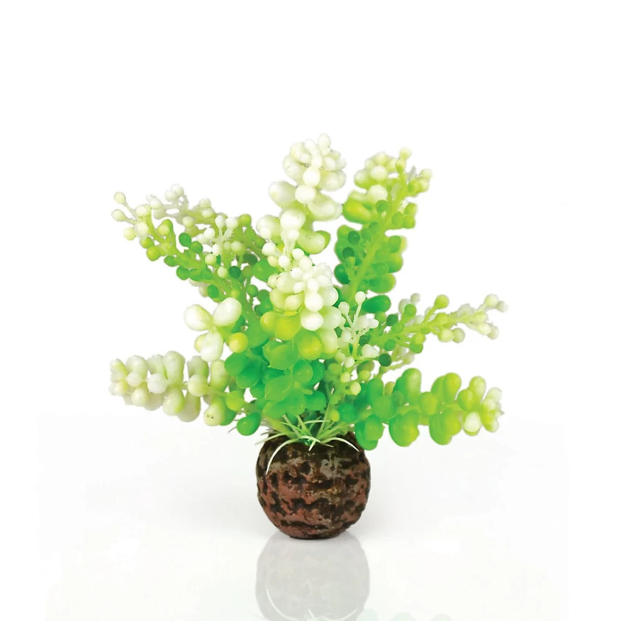 PetSmart biOrb Green Caulerpa Artificial Aquarium Plant - 5 Inch Fake Aquatic Decor for Fish Tanks
