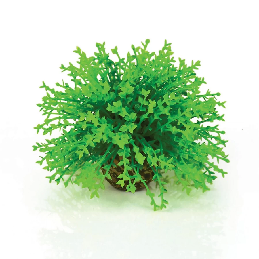 PetSmart biOrb Artificial Aquarium Plants - Topiary Decor for Fish Tanks