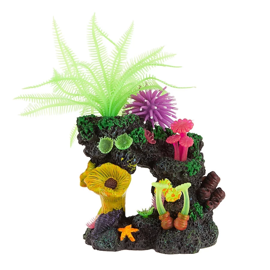 PetSmart Top Fin Movable Coral Swim-Thru Fish Tank Decoration for Aquariums