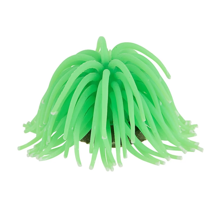 PetSmart Small Top Fin Anemone Coral Reef Aquarium Decoration for Fish Tanks