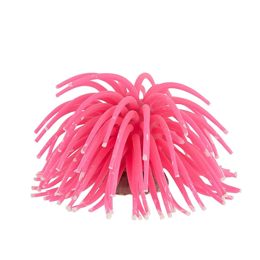 PetSmart Medium Top Fin Anemone Coral Reef Aquarium Decoration for Fish Tanks