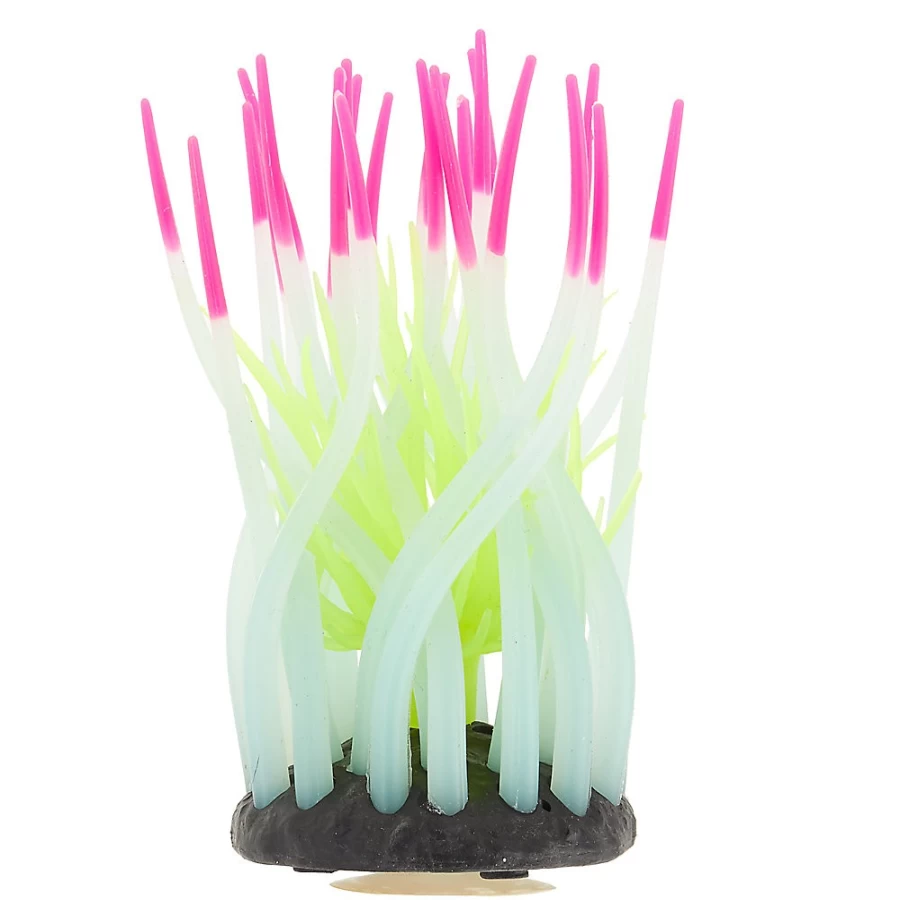 Glow-in-the-Dark Anemone Aquarium Decor - Top Fin by PetSmart for Fish Tank