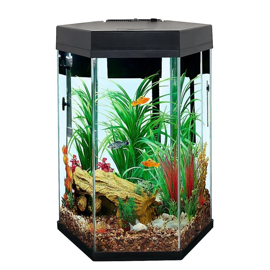 PetSmart Top Fin Captivate Starter Kit - Complete Aquarium Starter Set for Freshwater Fish