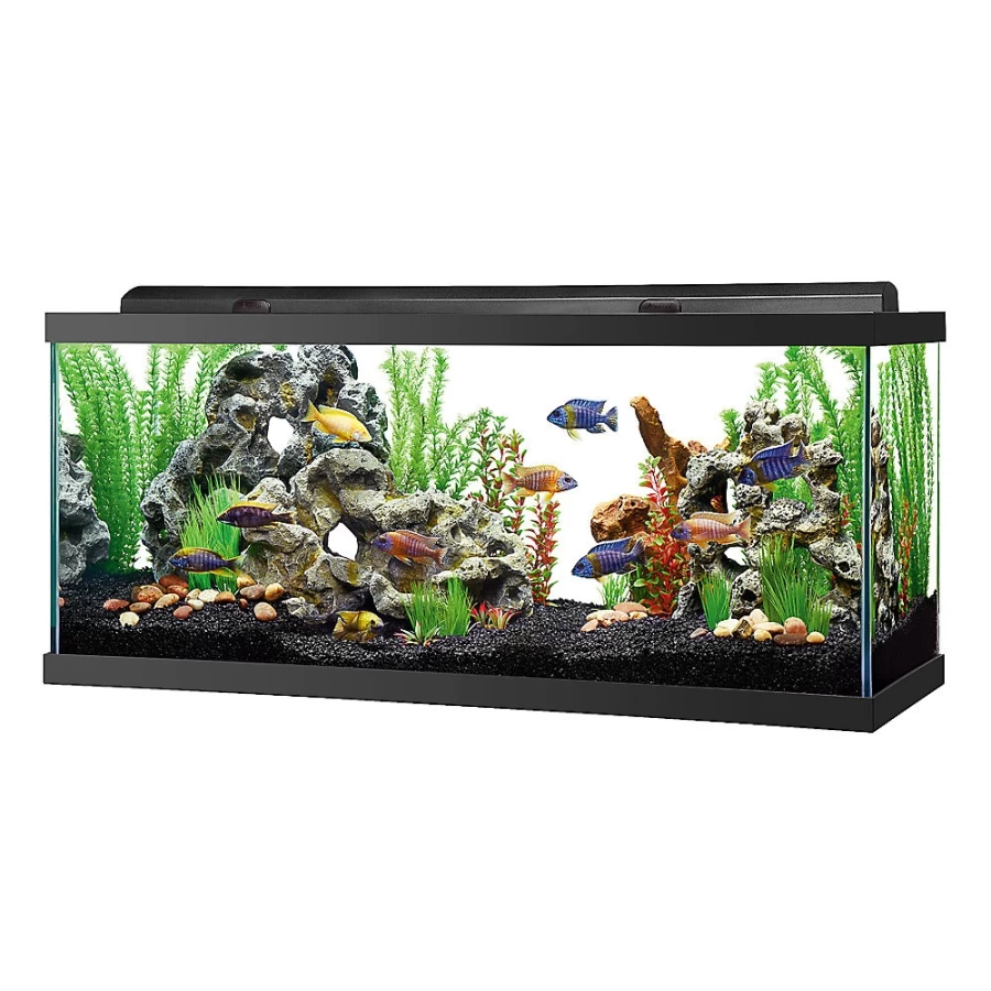 PetSmart Top Fin LED Hooded Aquarium Tank with Energy-Efficient Lighting