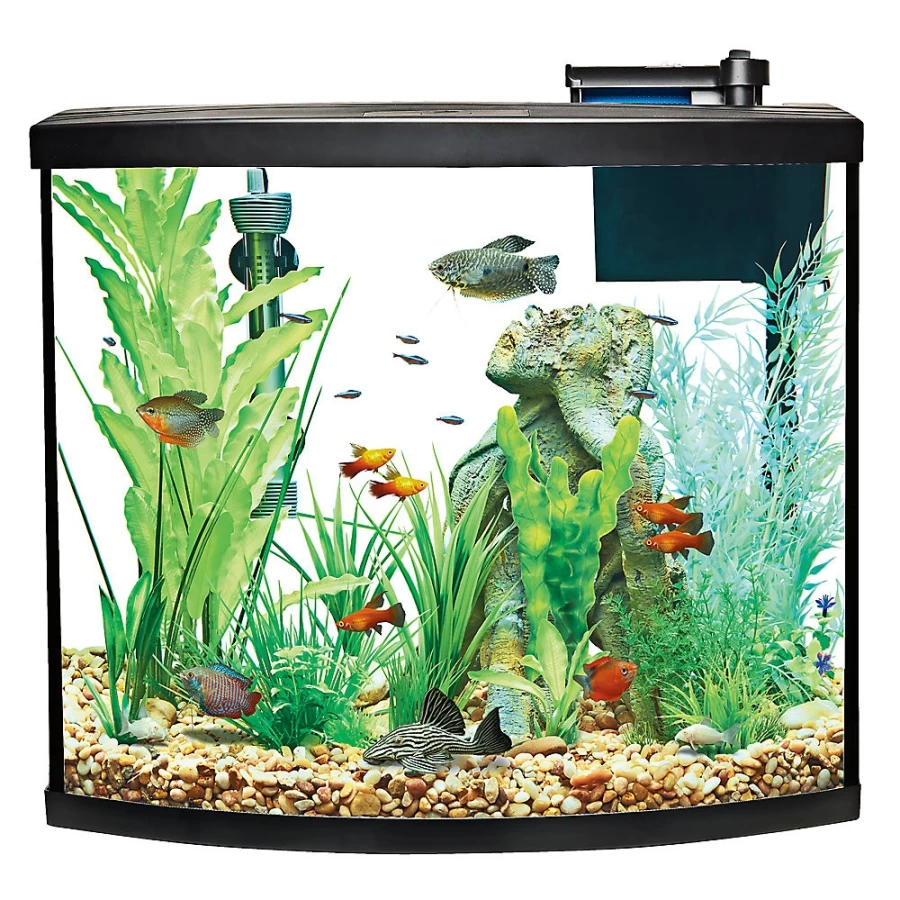 PetSmart Top Fin 36 Gallon Bow Front Aquarium Starter Kit with Filter, LED Lighting, and Decor