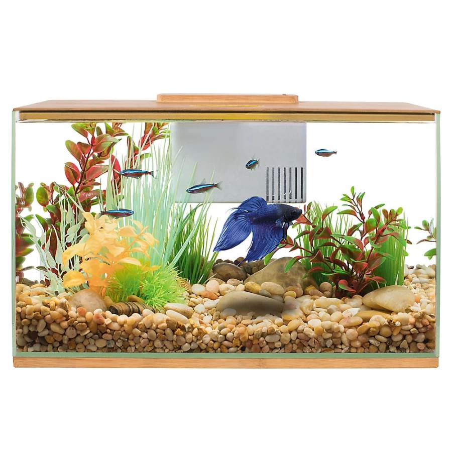 PetSmart Top Fin Betta Bamboo Aquarium - 3 Gallon Tank for Betta Fish with Natural Bamboo Design
