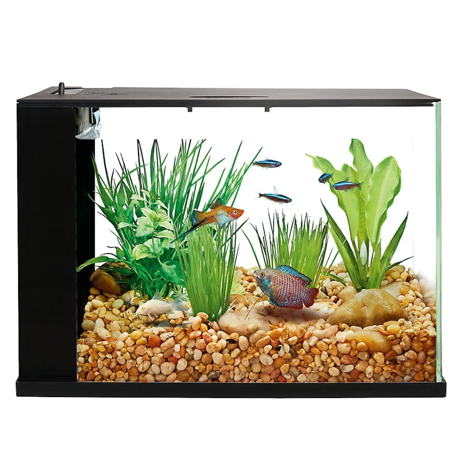 PetSmart Top Fin Easy Clean 3 Gallon Aquarium Tank for Fish – Low Maintenance Starter Kit