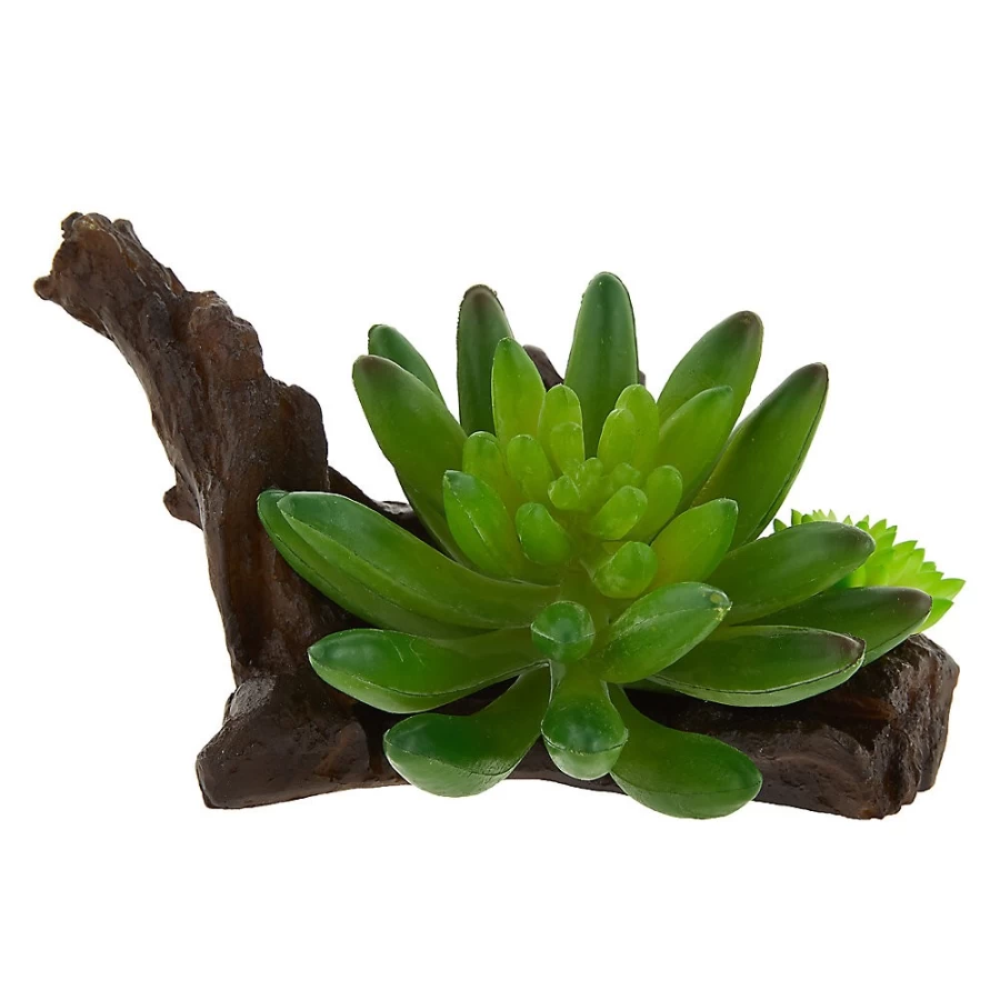 PetSmart Top Fin Aloe & Wood Aquarium Decoration for Fish Tanks