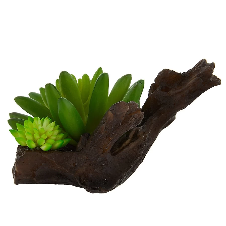 PetSmart Top Fin Aloe & Wood Aquarium Decoration for Fish Tanks