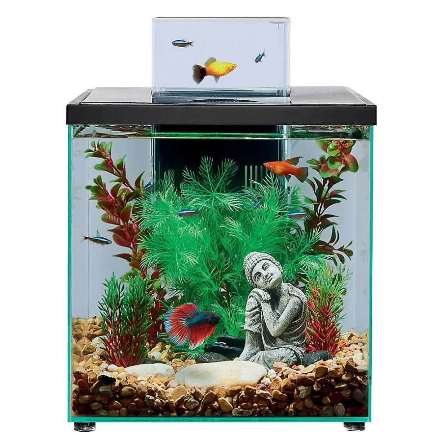 PetSmart Top Fin Escape 5-Gallon Aquarium Tank Kit for Fish