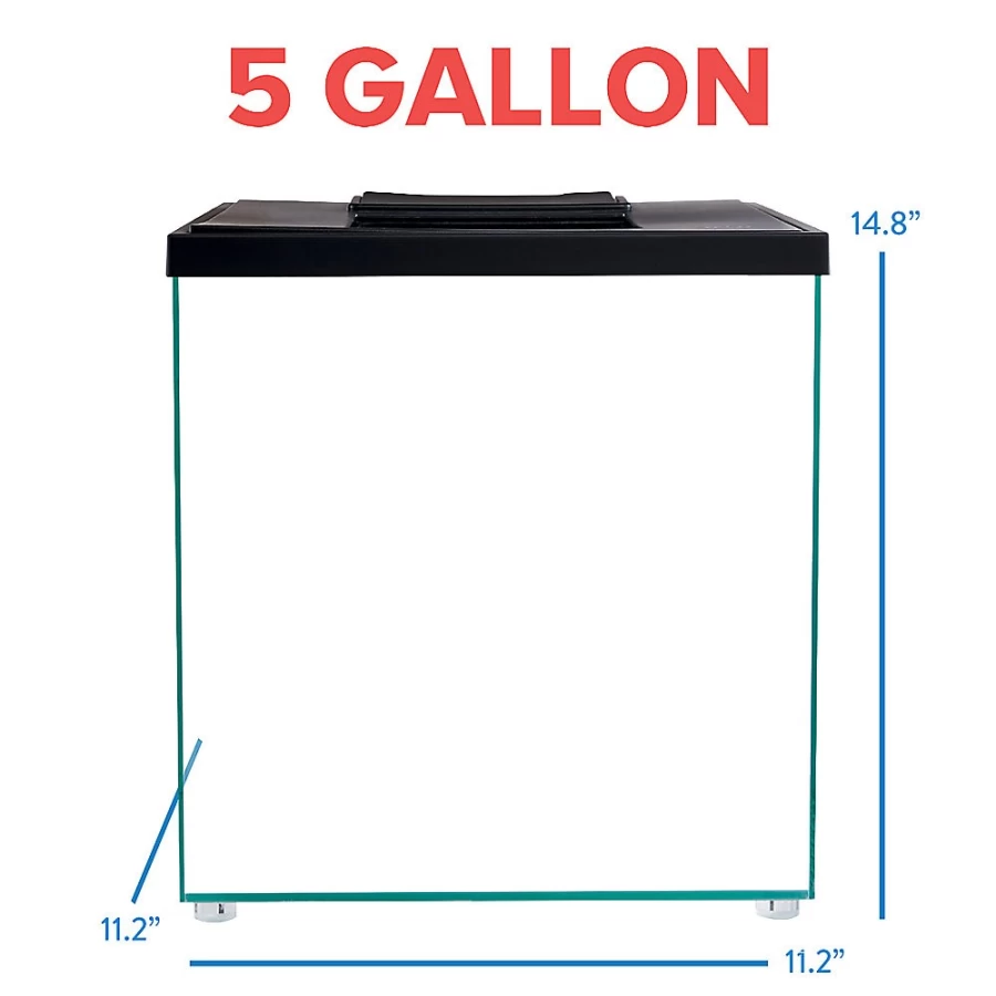 PetSmart Top Fin Escape 5-Gallon Aquarium Tank Kit for Fish