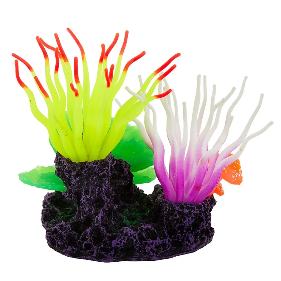 PetSmart Top Fin Glow Sea Anemone - Colorful LED Aquarium Decor for Saltwater & Reef Tanks