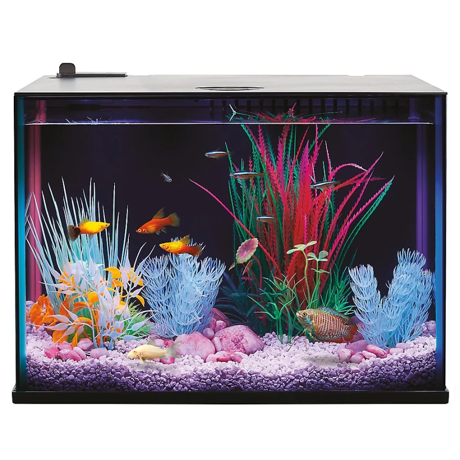 PetSmart Top Fin Custom ColorFlow LED Aquarium Tank with 7 Color-Changing Lights for Fish