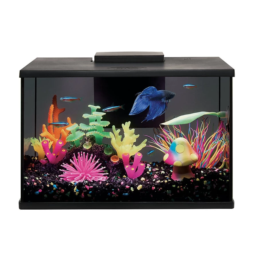 PetSmart Top Fin LED Black Glass Aquarium Tank with Energy-Efficient Lighting