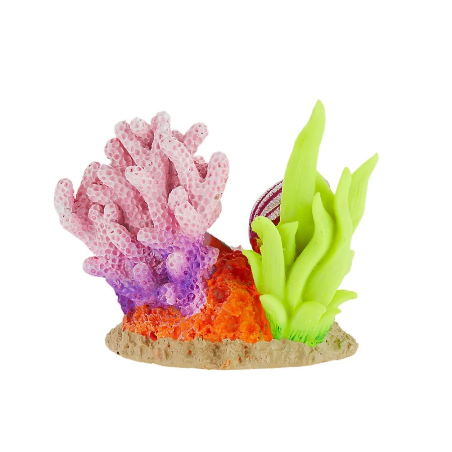 PetSmart Top Fin Shells Decorative Aquarium Ornament for Fish Tanks