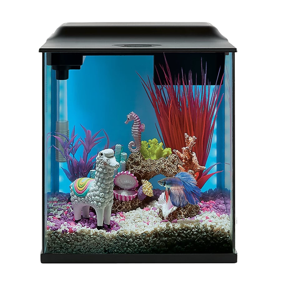 PetSmart Top Fin Backlit LED Aquarium Tank for Vibrant Home Decor