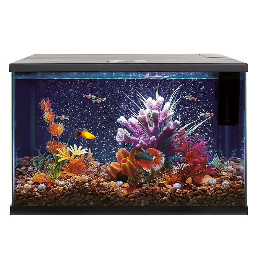 PetSmart Top Fin LED Bubble Wall Aquarium Kit - Decorative Fish Tank with Light & Air Pump for Home or Office