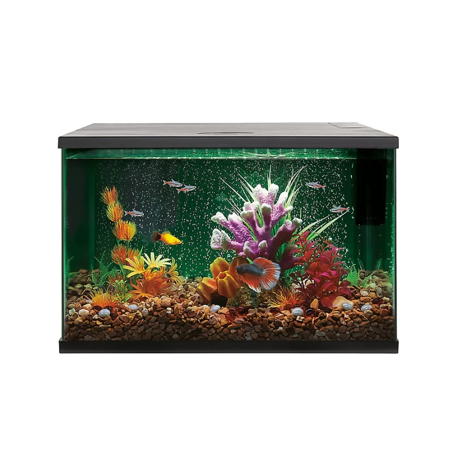 PetSmart Top Fin LED Bubble Wall Aquarium Kit - Decorative Fish Tank with Light & Air Pump for Home or Office